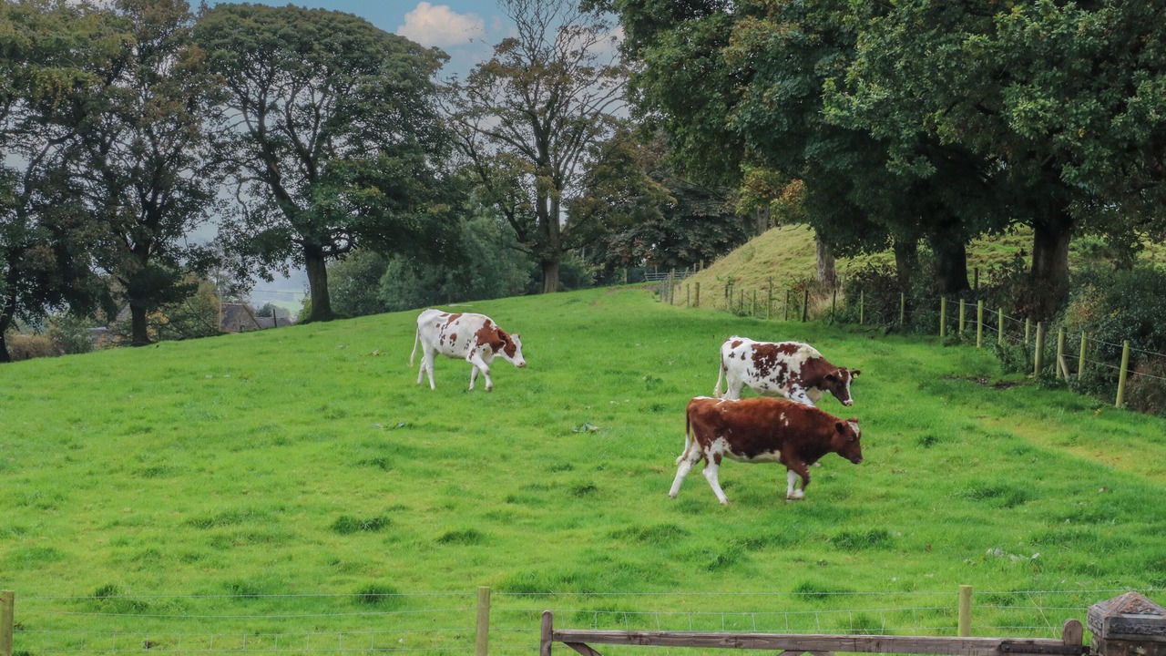 Photo of Others in Endon