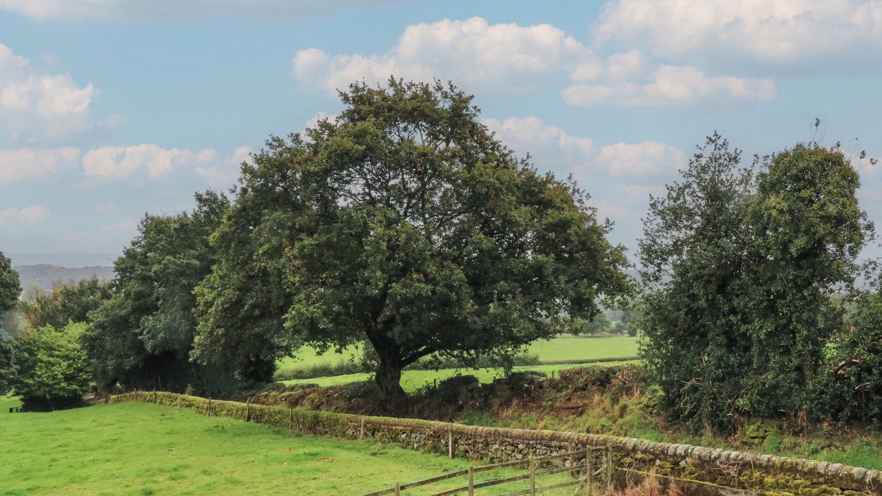 Photo of Outdoor in Endon