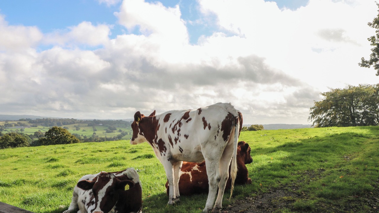 Photo of Others in Endon