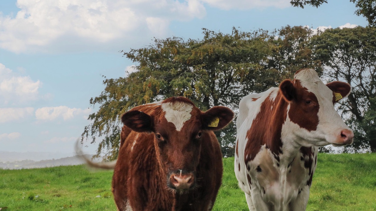 Photo of Others in Endon