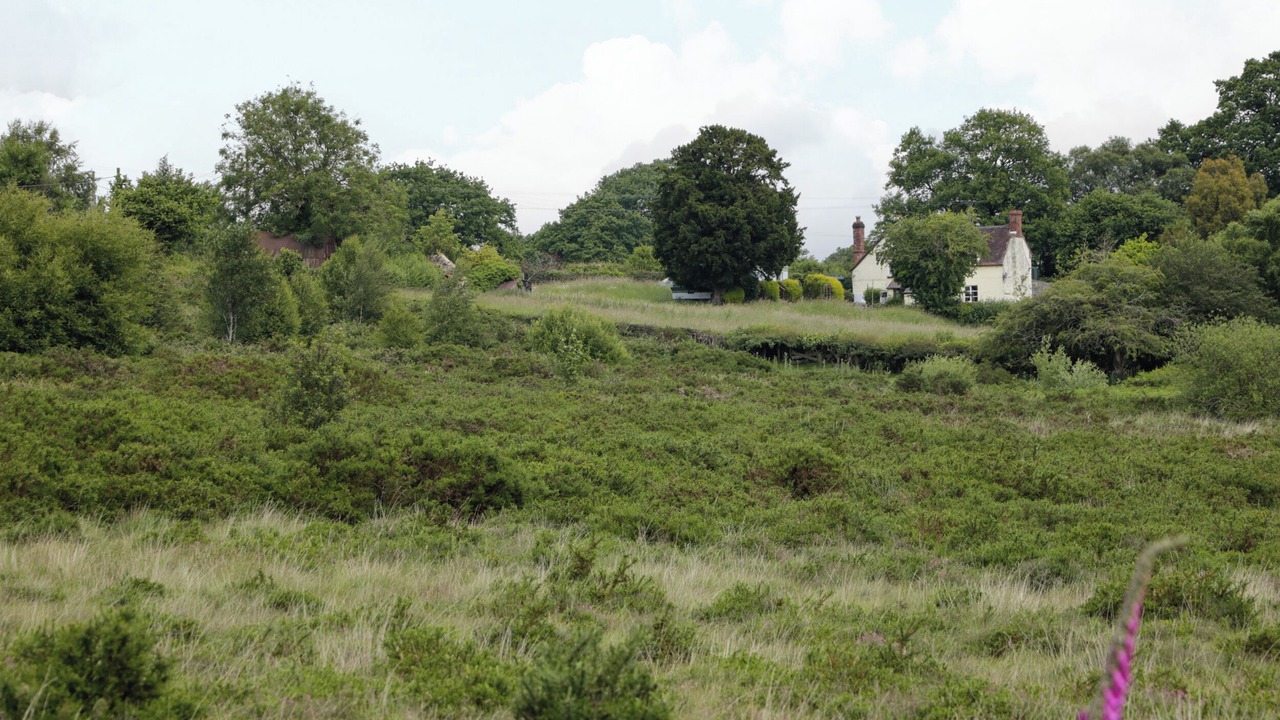 Photo of Others in Farlow