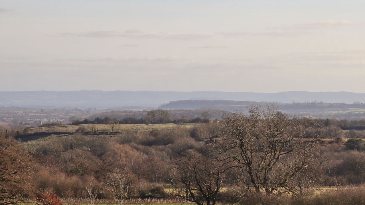 Photo of Others in Moreton