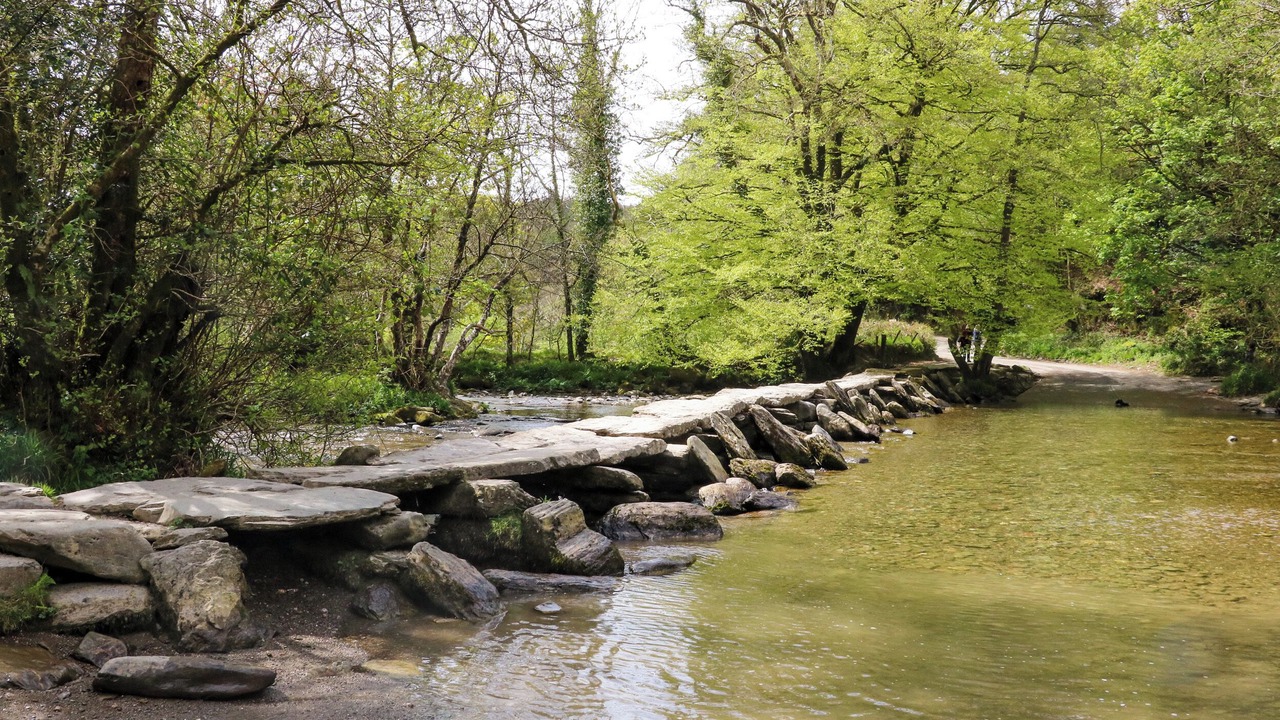 Photo of Others in Bossington