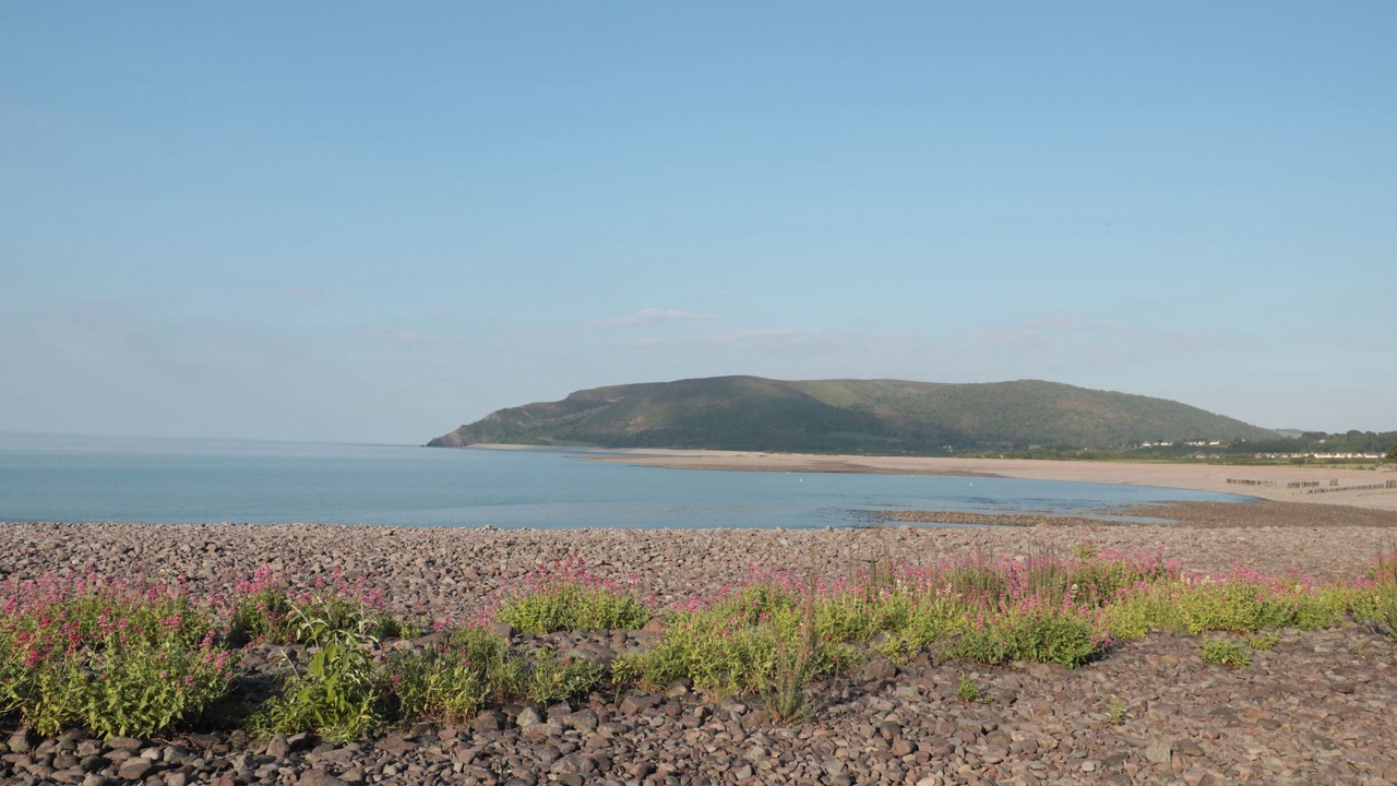 Photo of Others in Bossington