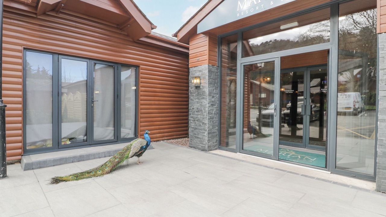 Photo of Outdoor in Dyserth