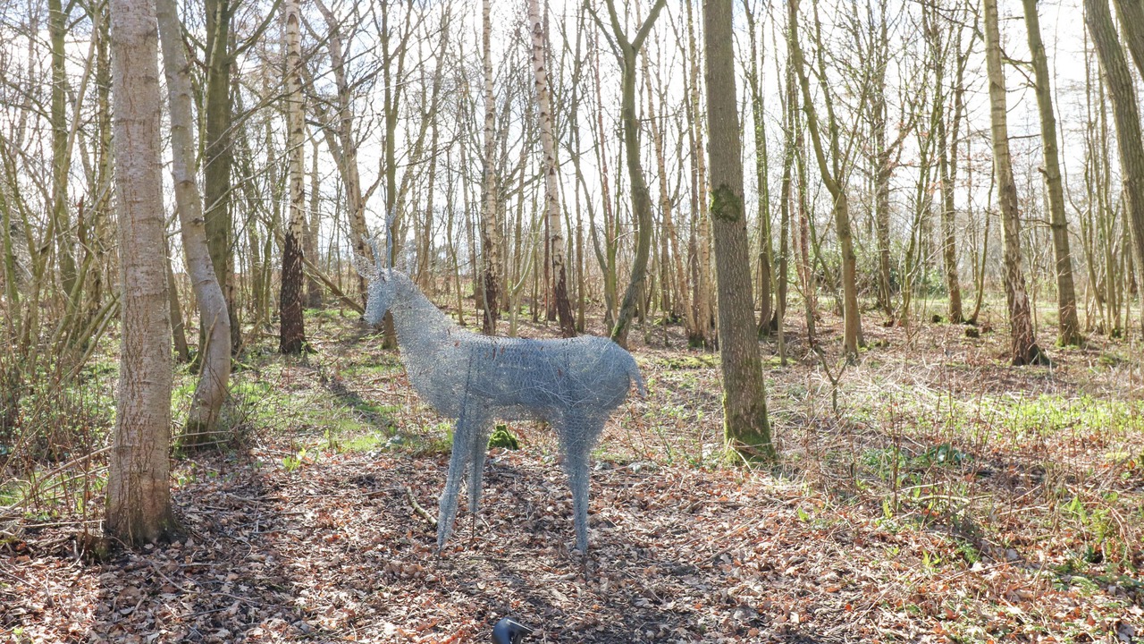 Photo of Others in Aldbrough St. John