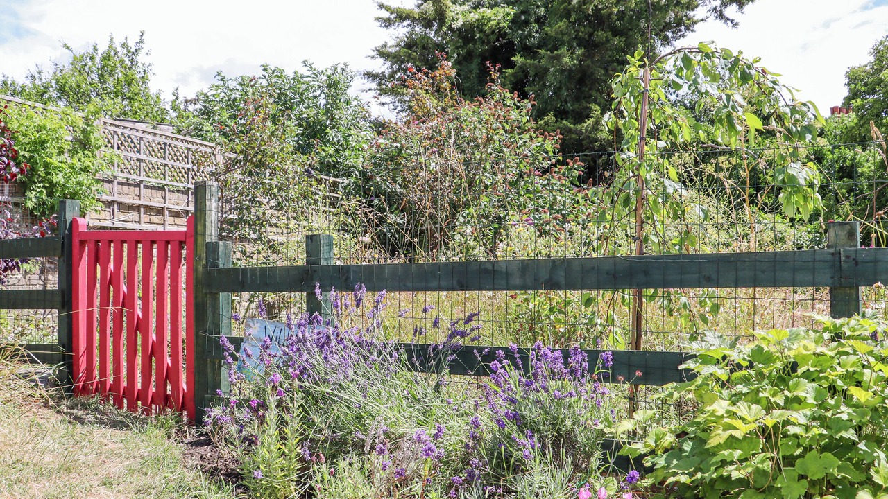 Photo of Outdoor in Margate