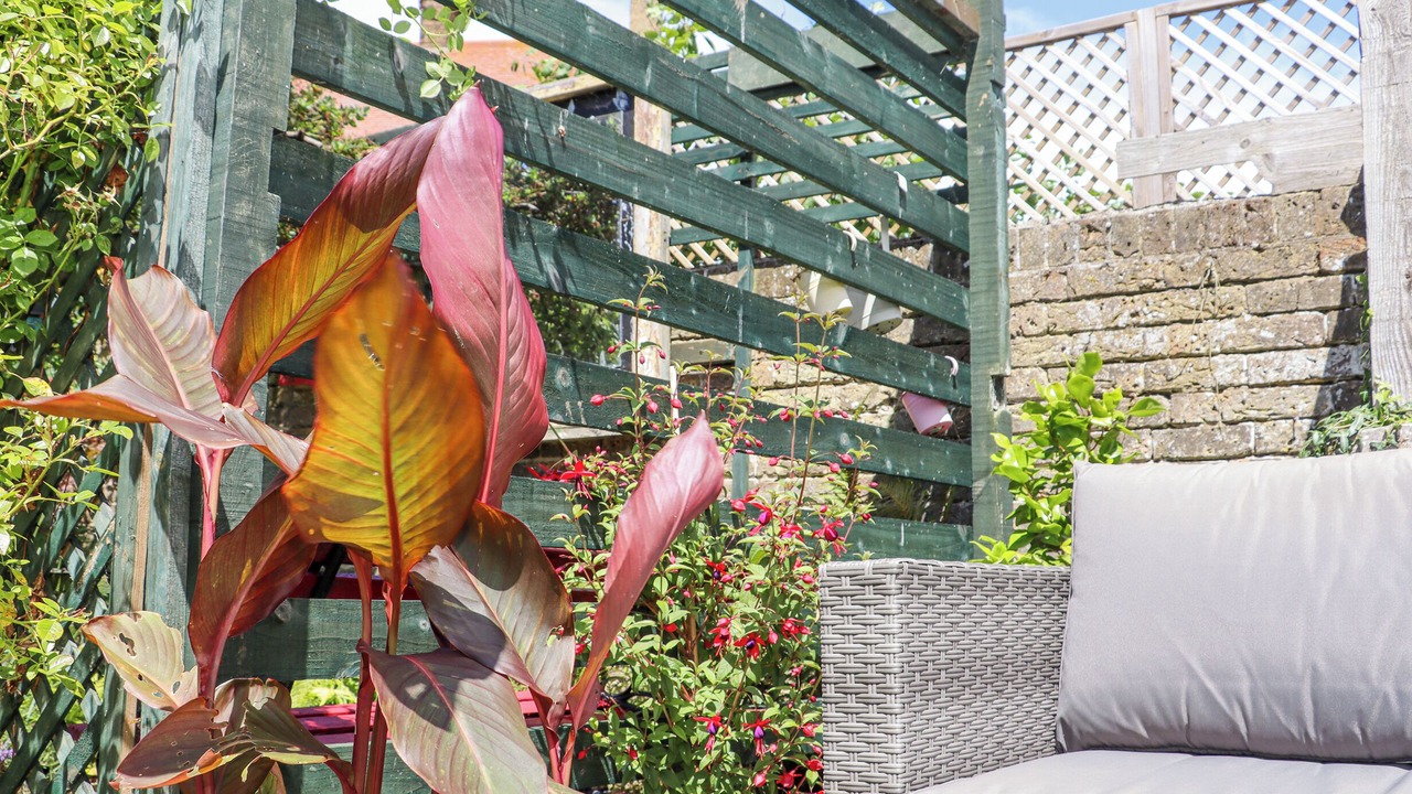 Photo of Patio Balcony in Margate