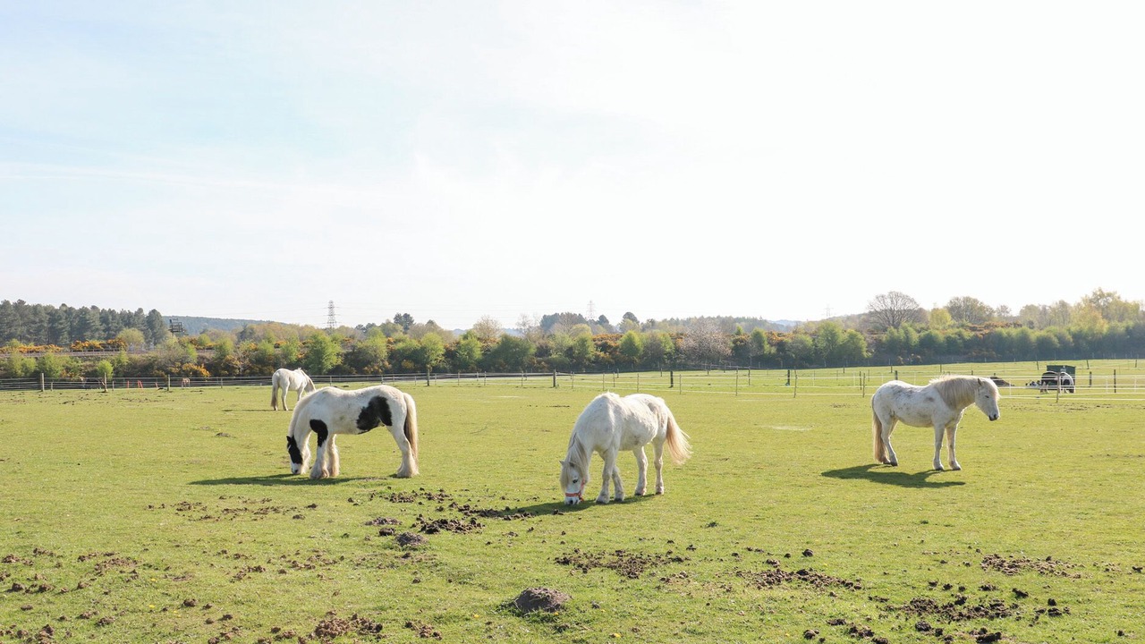 Photo of Others in Annesley Woodhouse