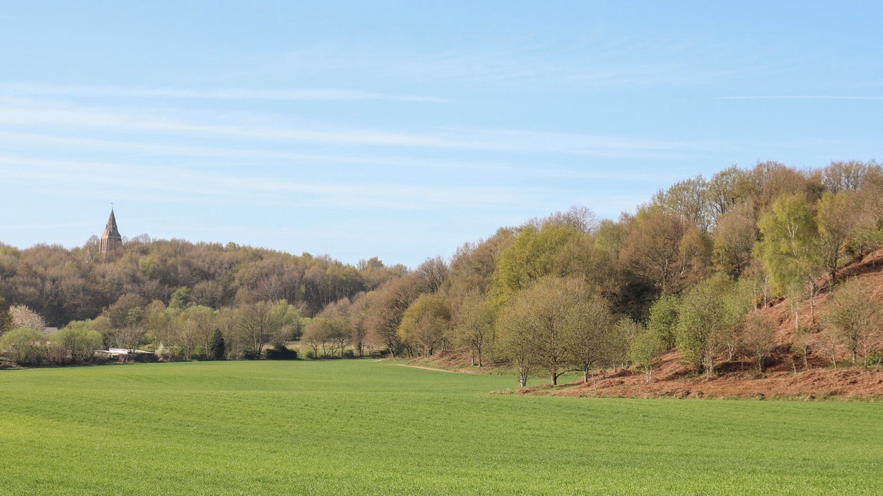 Photo of Others in Annesley Woodhouse