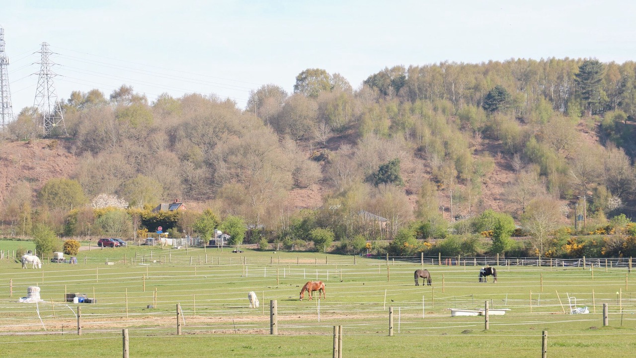 Photo of Others in Annesley Woodhouse
