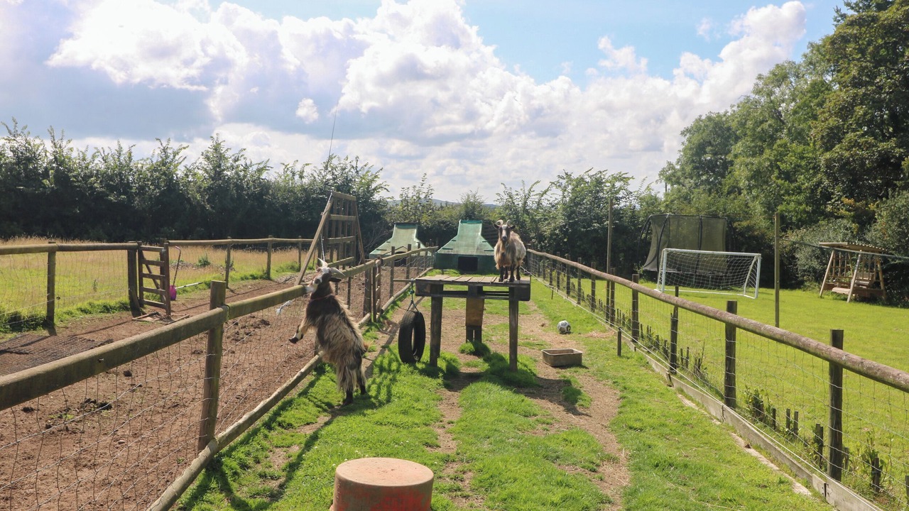 Photo of Others in Saint Erth Praze