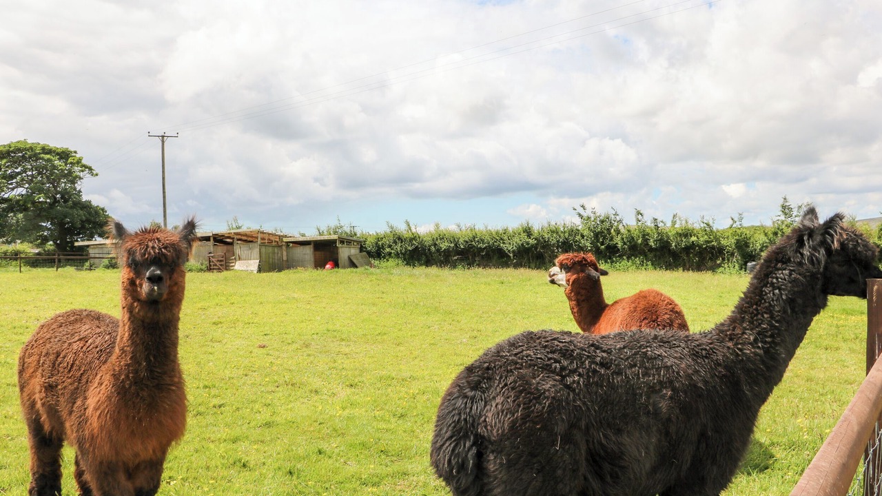 Photo of Others in Saint Erth Praze