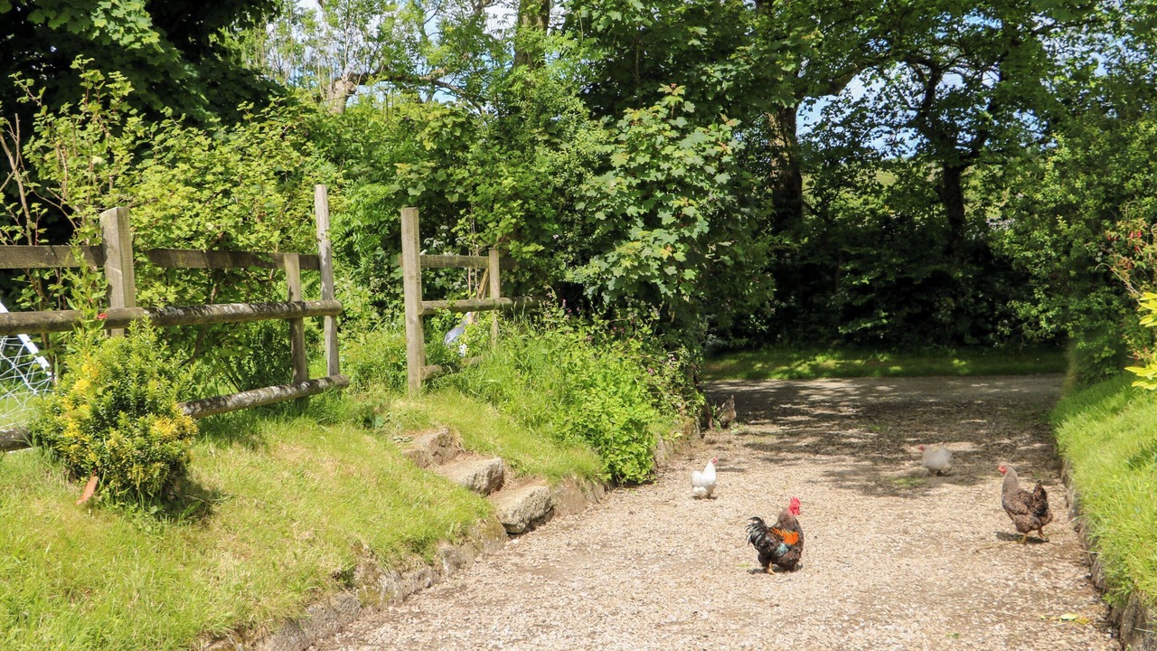 Photo of Outdoor in Saint Erth Praze