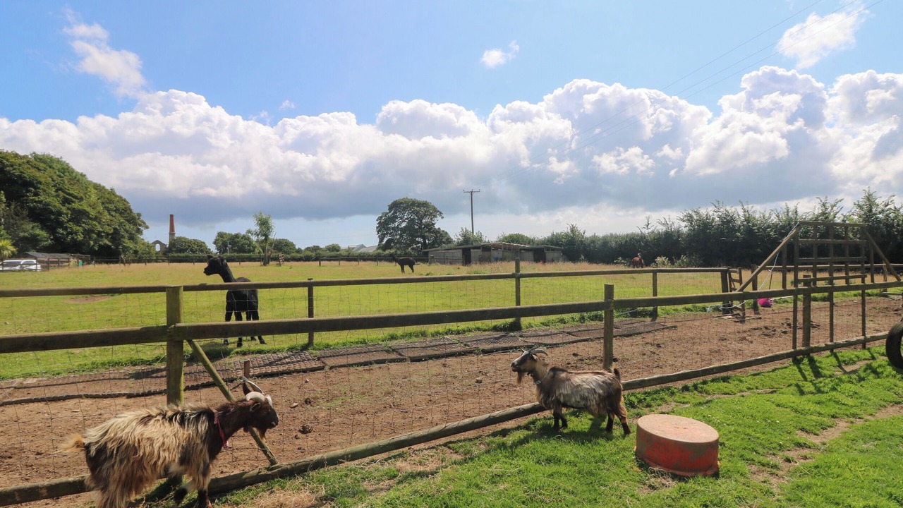 Photo of Others in Saint Erth Praze