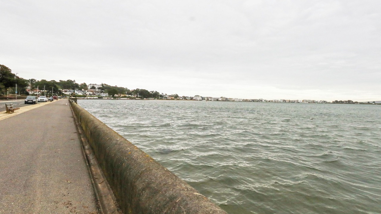 Photo of Others in Sandbanks