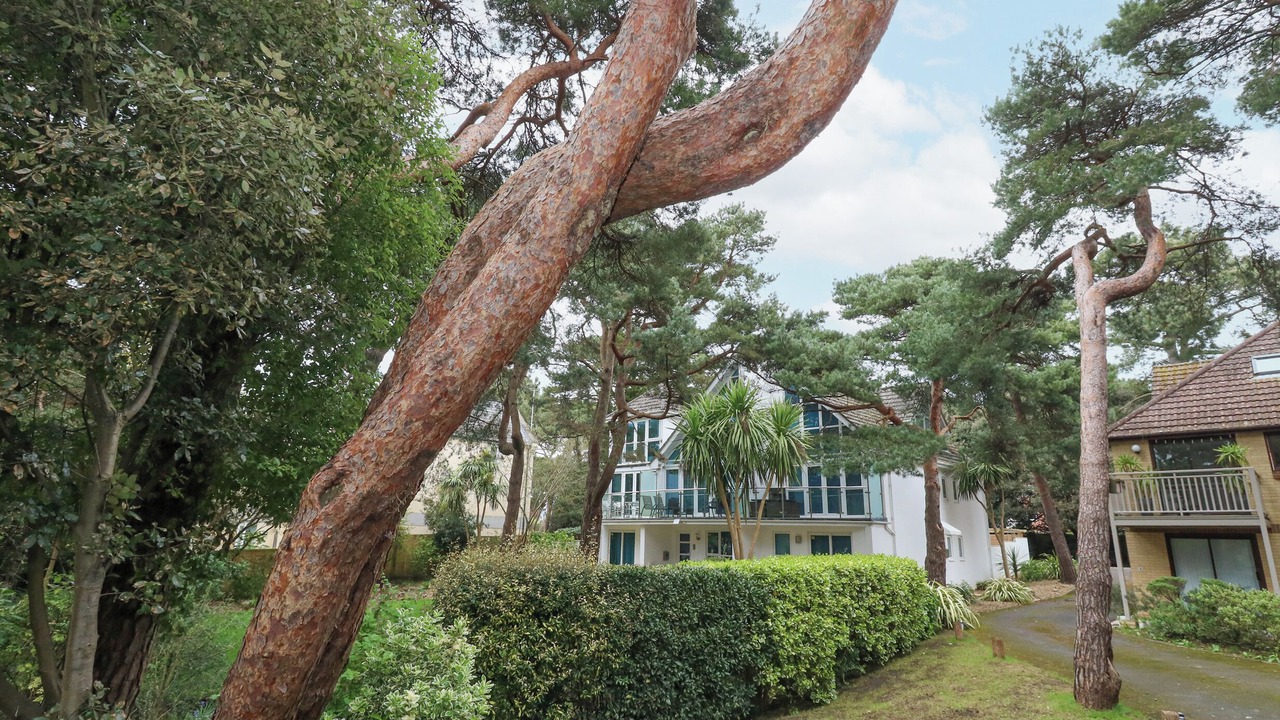 Photo of Outdoor in Sandbanks