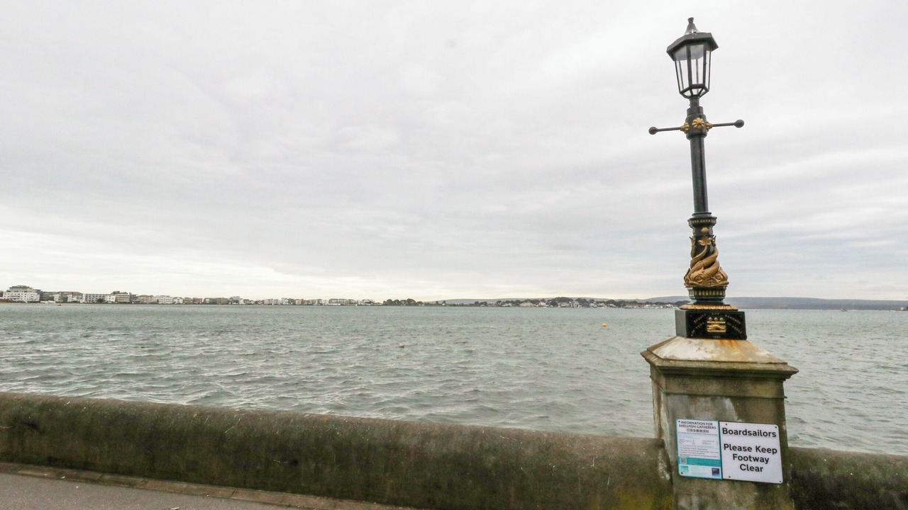 Photo of Others in Sandbanks