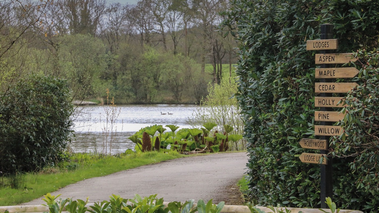 Photo of Outdoor in Winkleigh