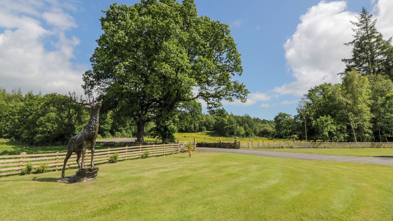 Photo of Others in Dalbeattie