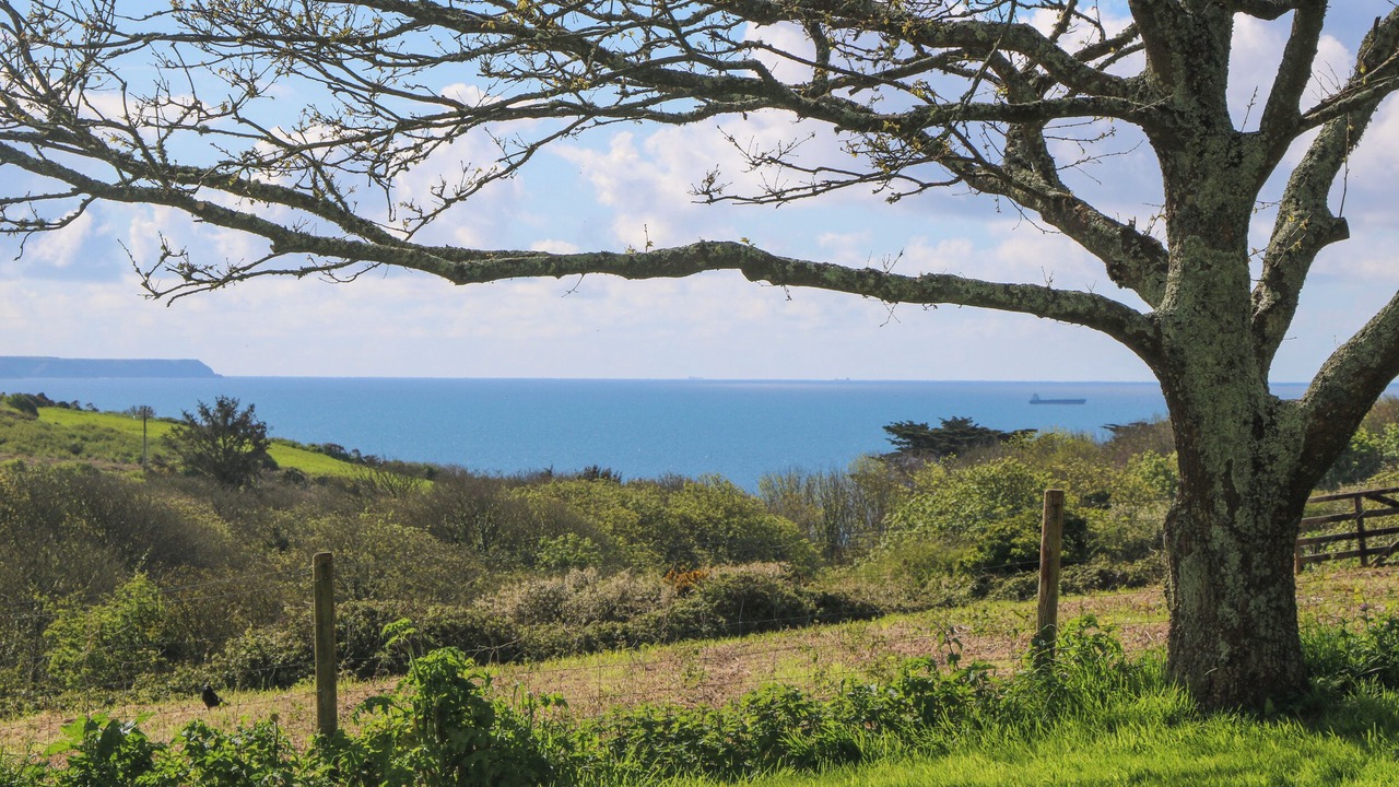 Photo of Others in Chysauster