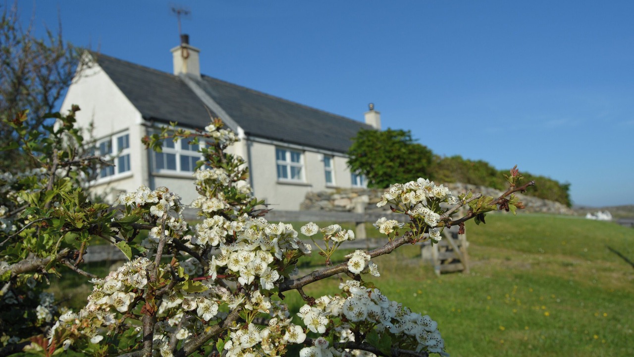 Photo of Outdoor in Harris