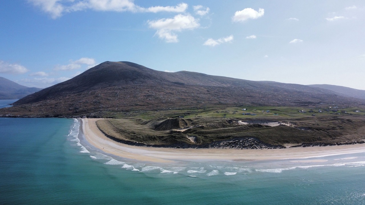 Photo of Others in Harris