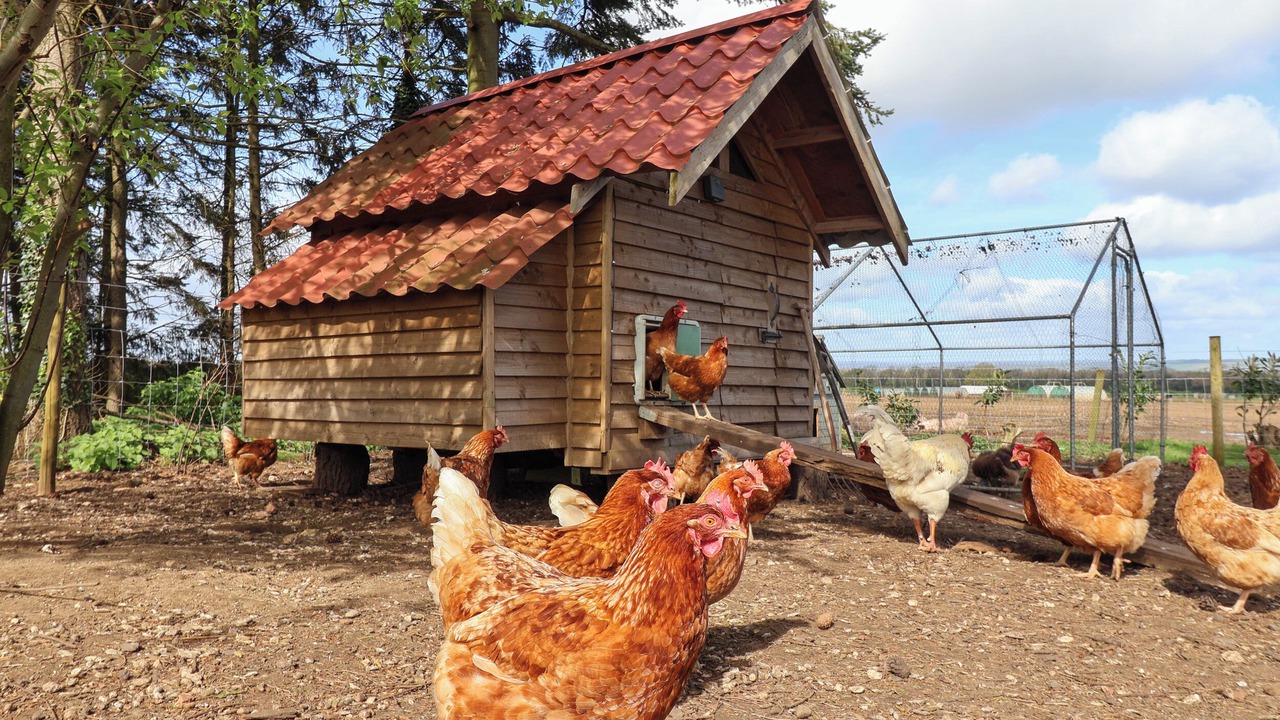 Photo of Others in West Heslerton