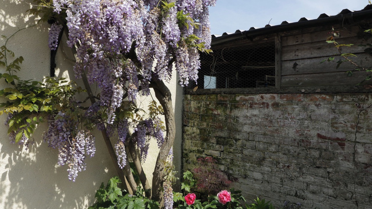 Photo of Outdoor in Pilning