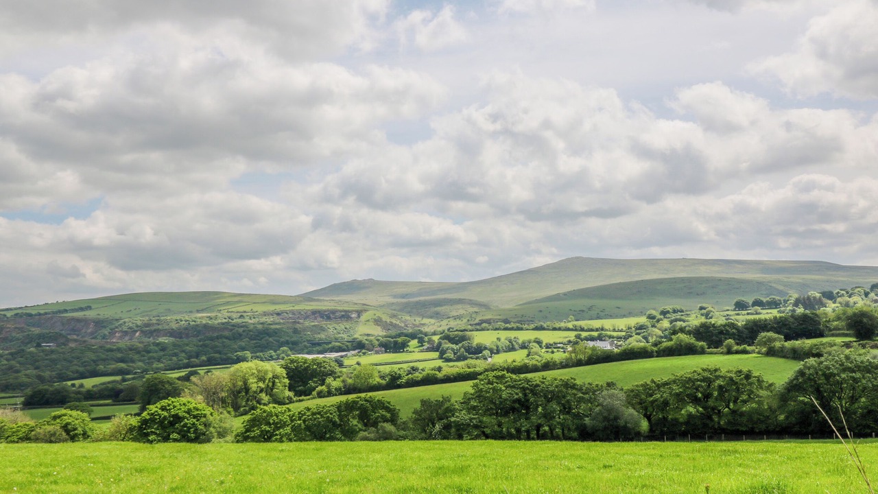 Photo of Others in Okehampton