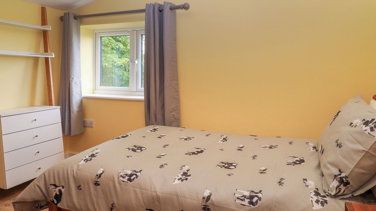 Photo of Others in Okehampton