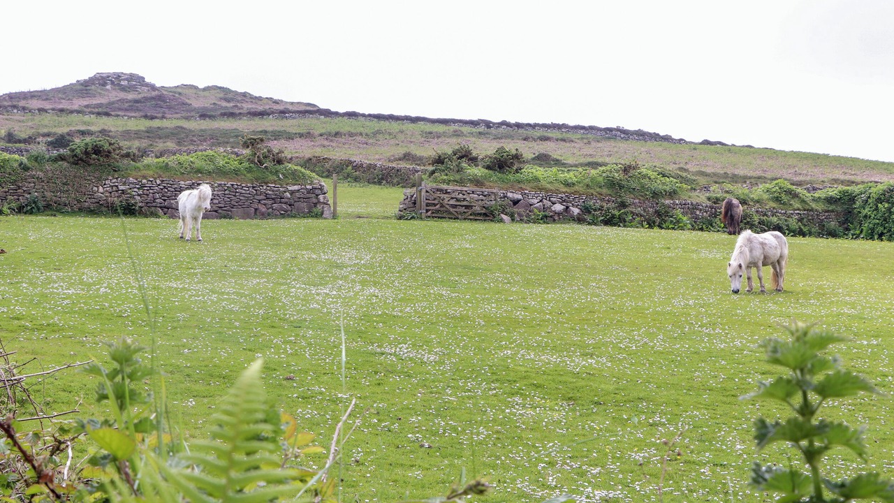 Photo of Others in Pendeen