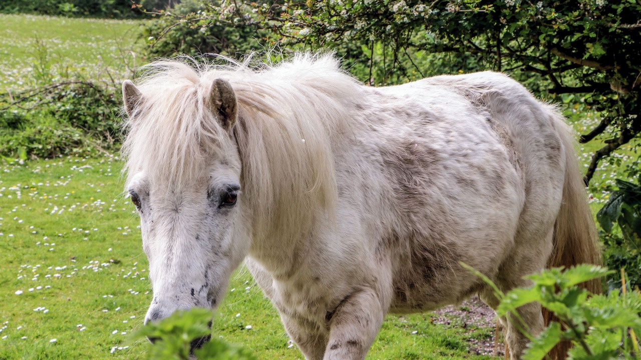 Photo of Others in Pendeen