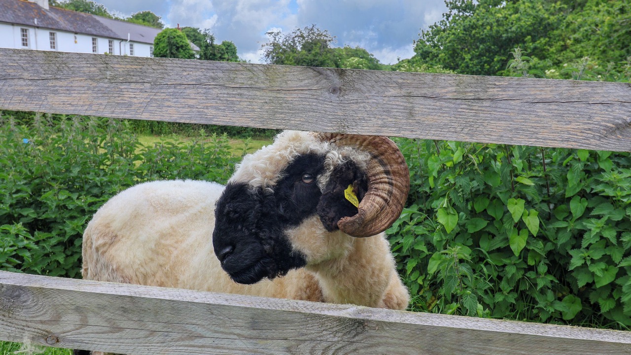 Photo of Others in Axminster