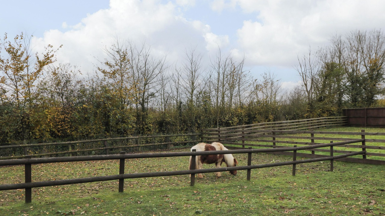 Photo of Others in Bushton