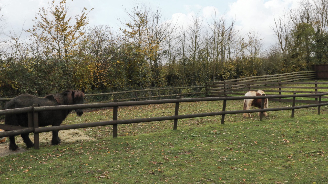 Photo of Others in Bushton