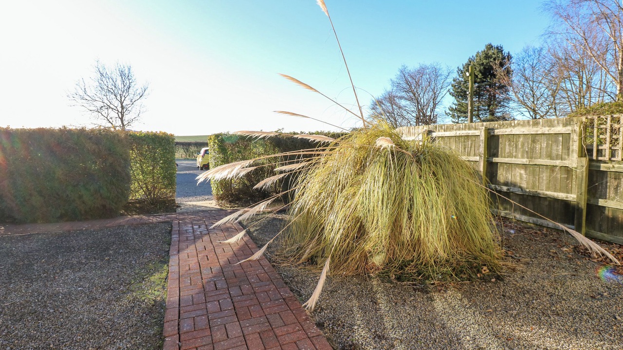 Photo of Outdoor in Richmond