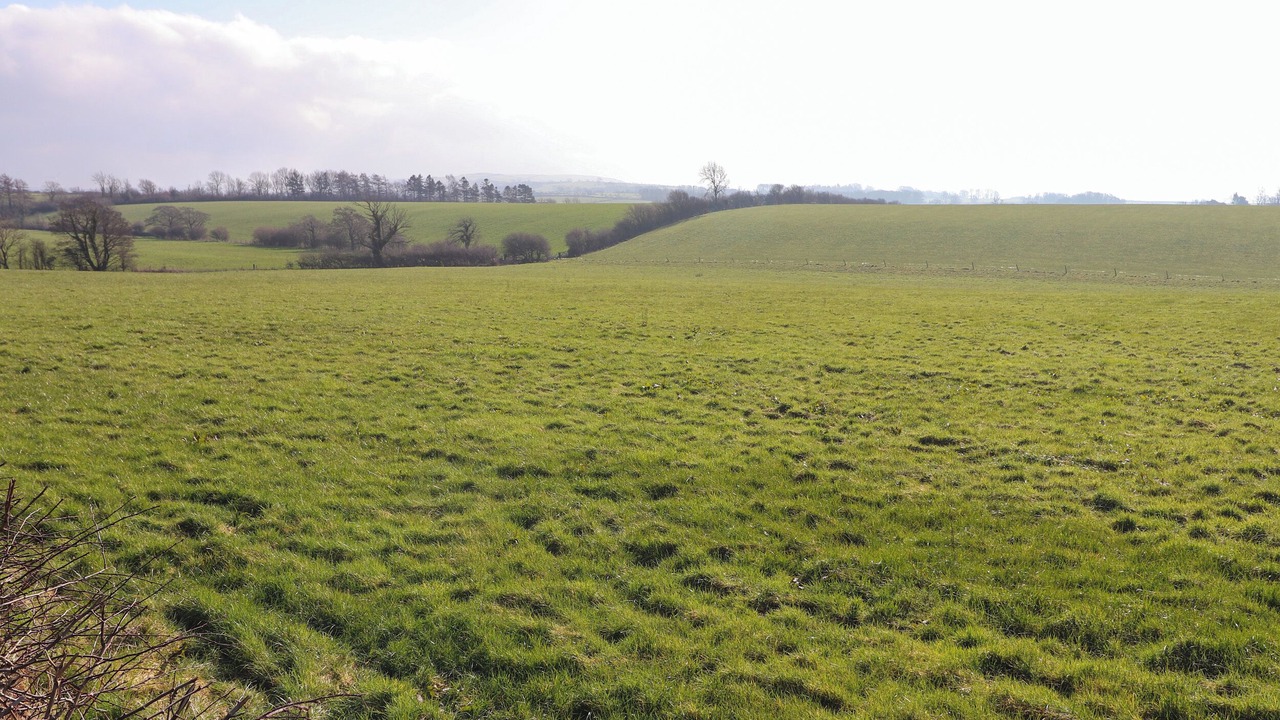 Photo of Others in Wigton