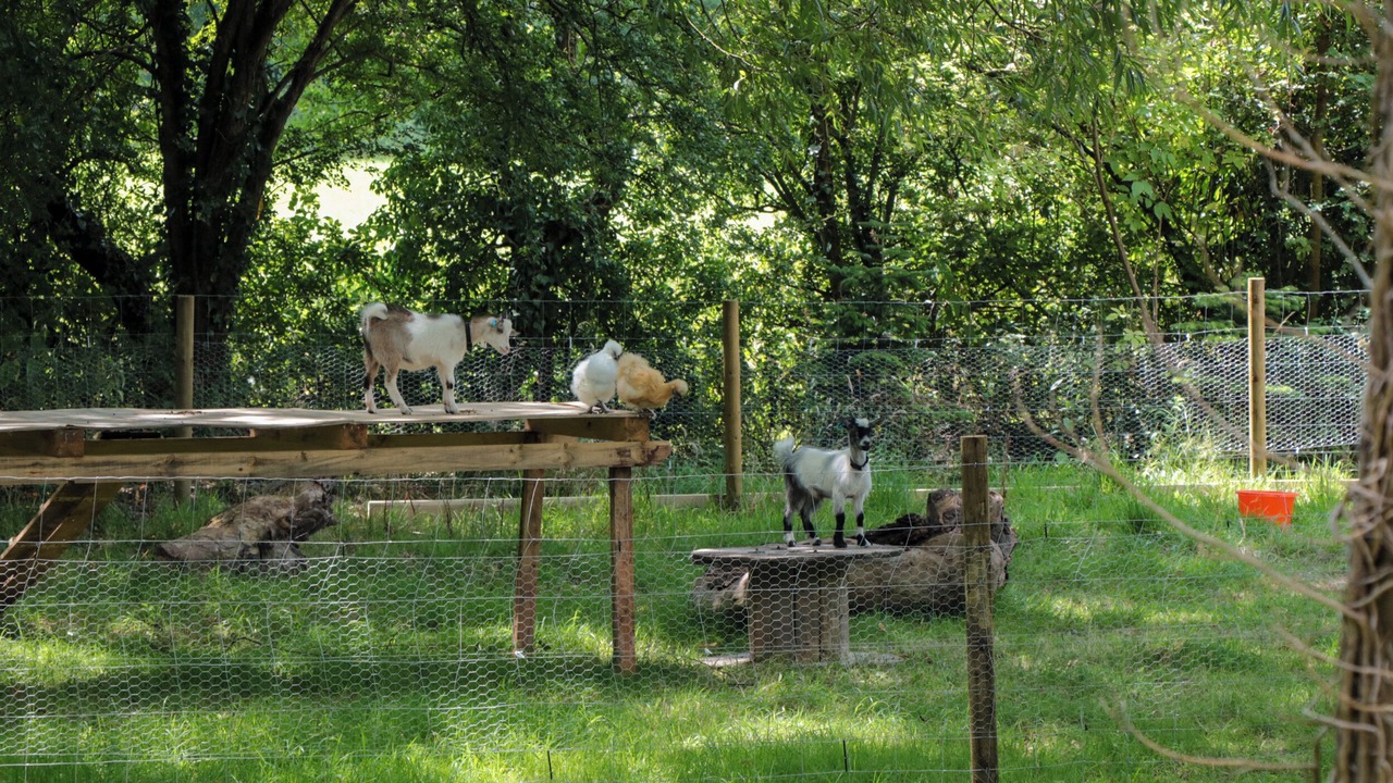 Photo of Others in Shepperdine