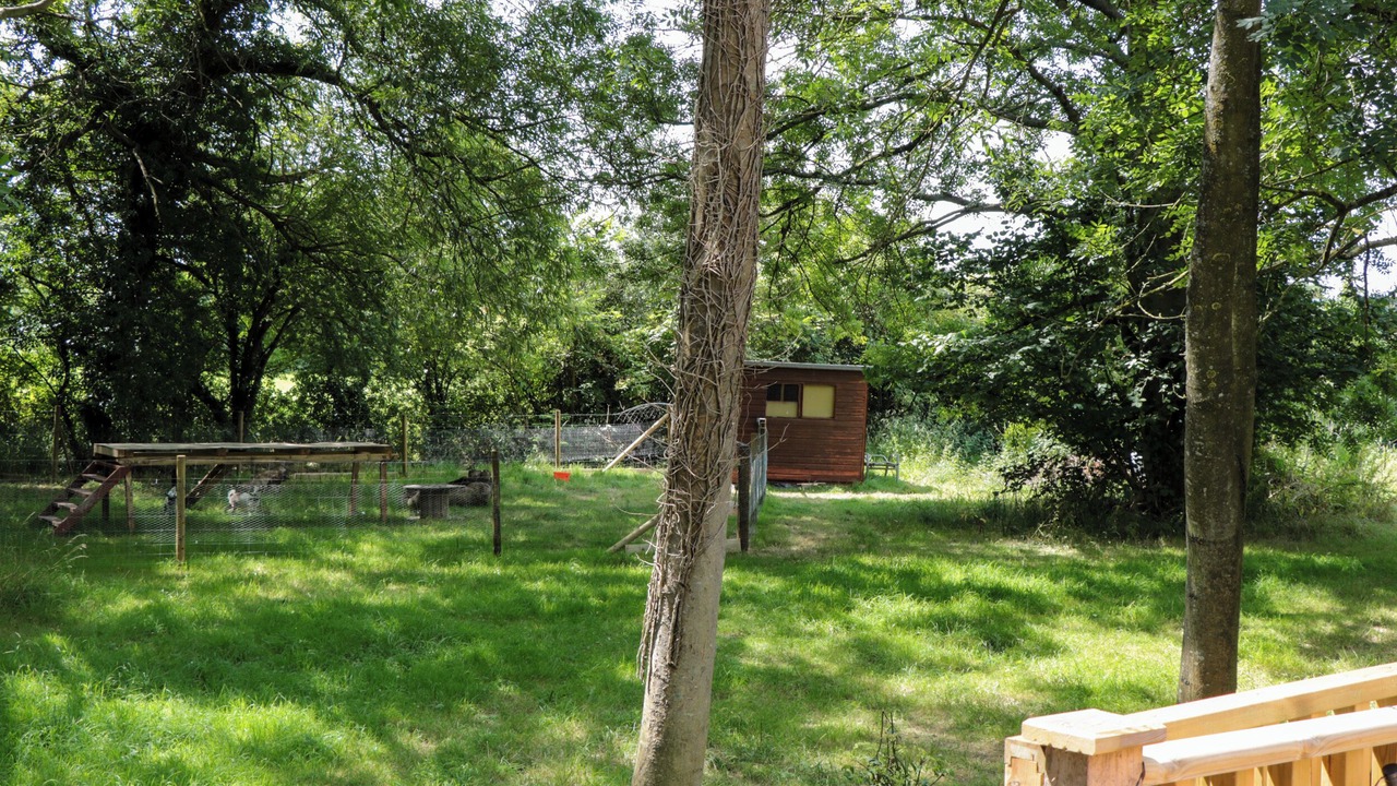 Photo of Outdoor in Shepperdine