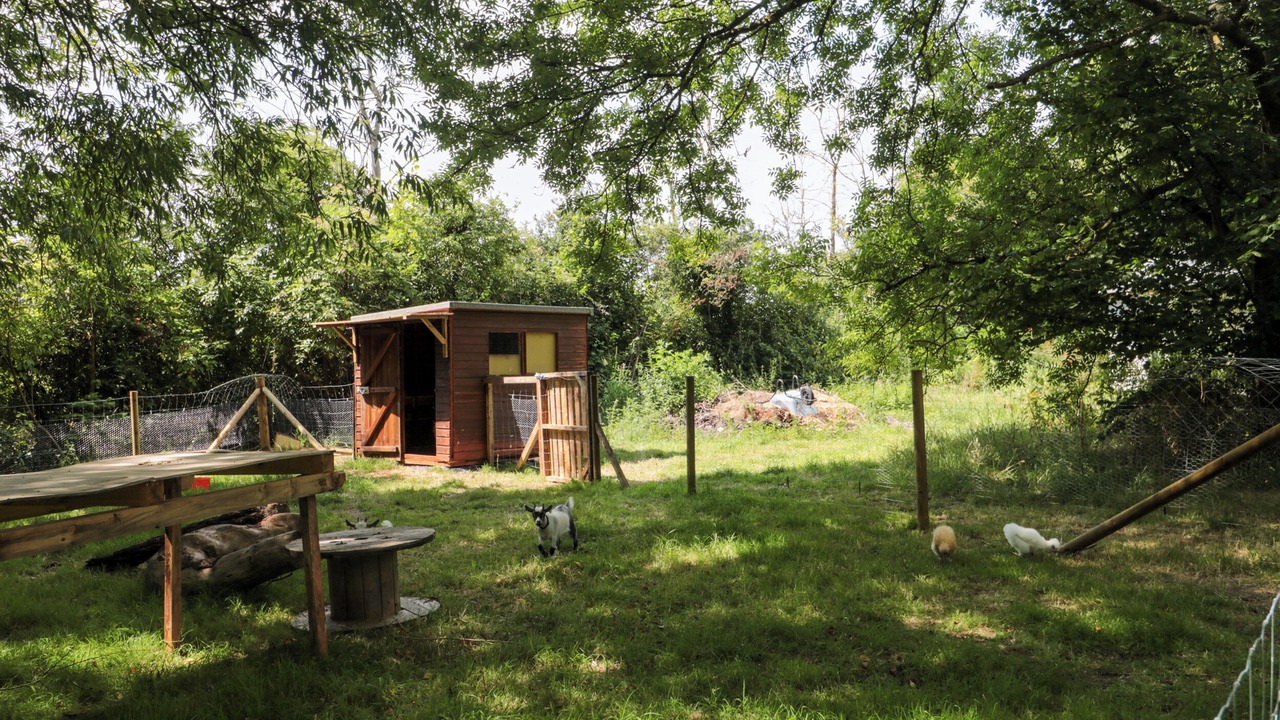 Photo of Outdoor in Shepperdine