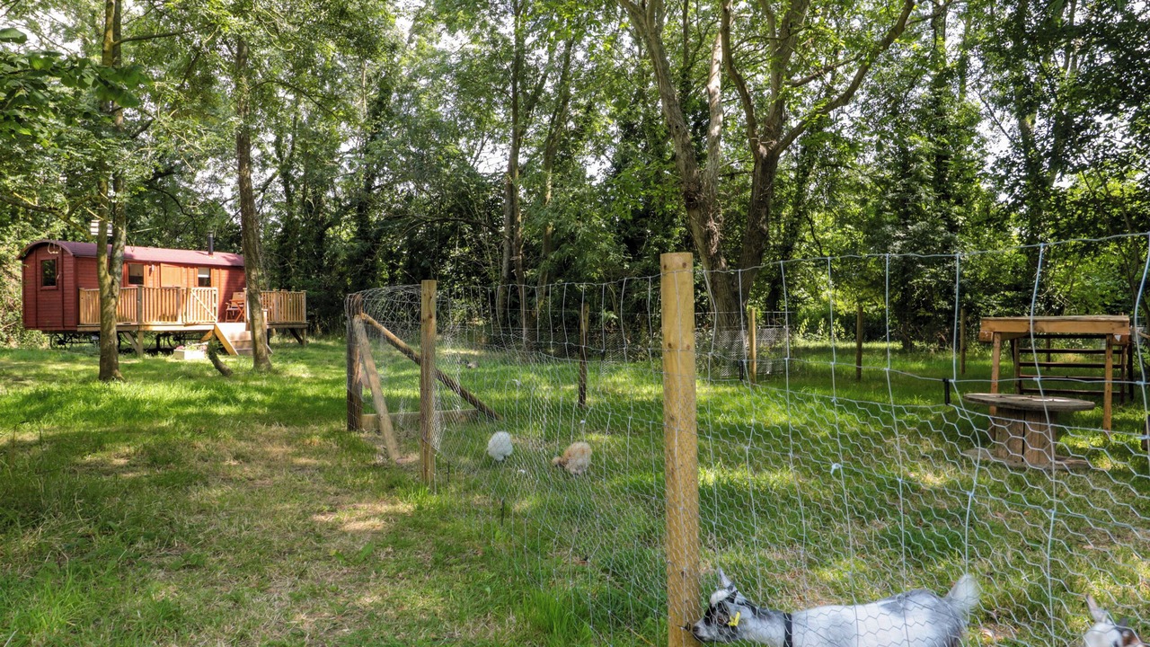 Photo of Outdoor in Shepperdine