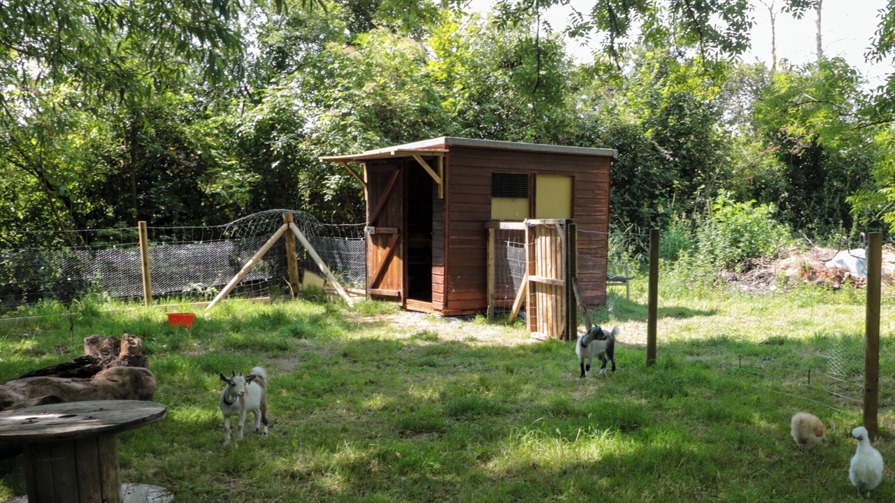 Photo of Outdoor in Shepperdine