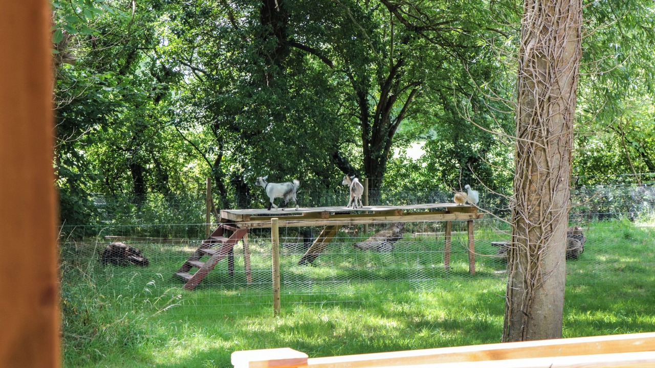 Photo of Outdoor in Shepperdine