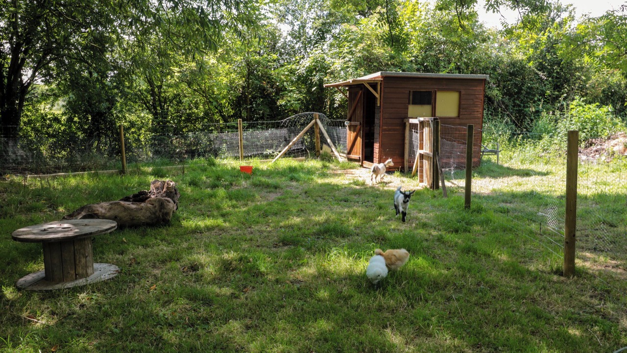 Photo of Outdoor in Shepperdine