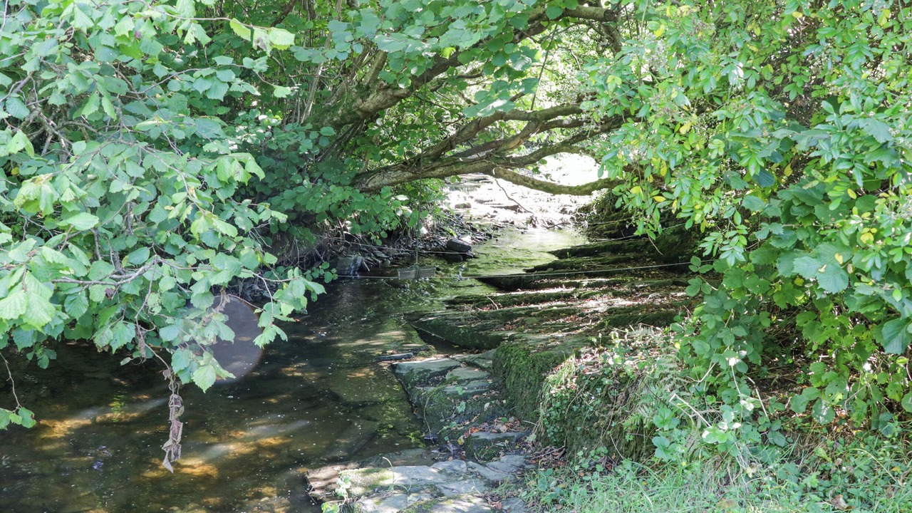 Photo of Others in Llanrwst