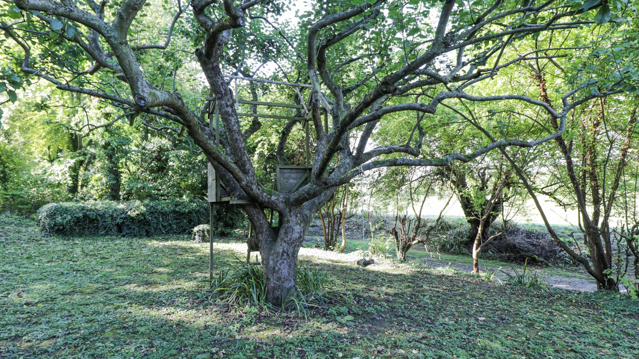 Photo of Others in Didcot