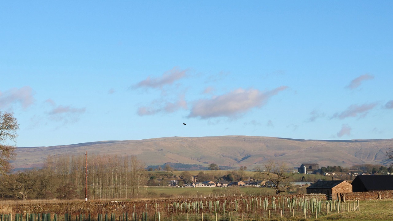 Photo of Others in Penrith