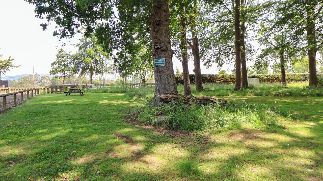 Photo of Others in Saint Asaph