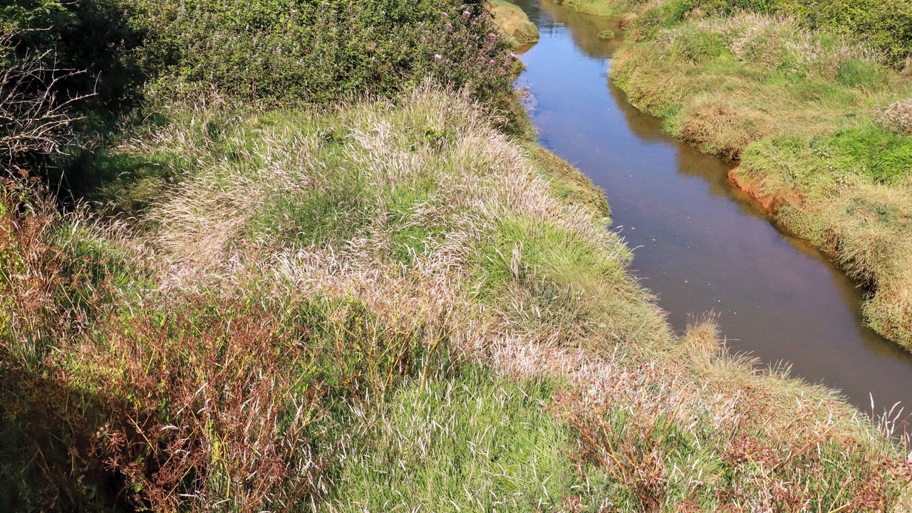 Photo of Others in Devoran